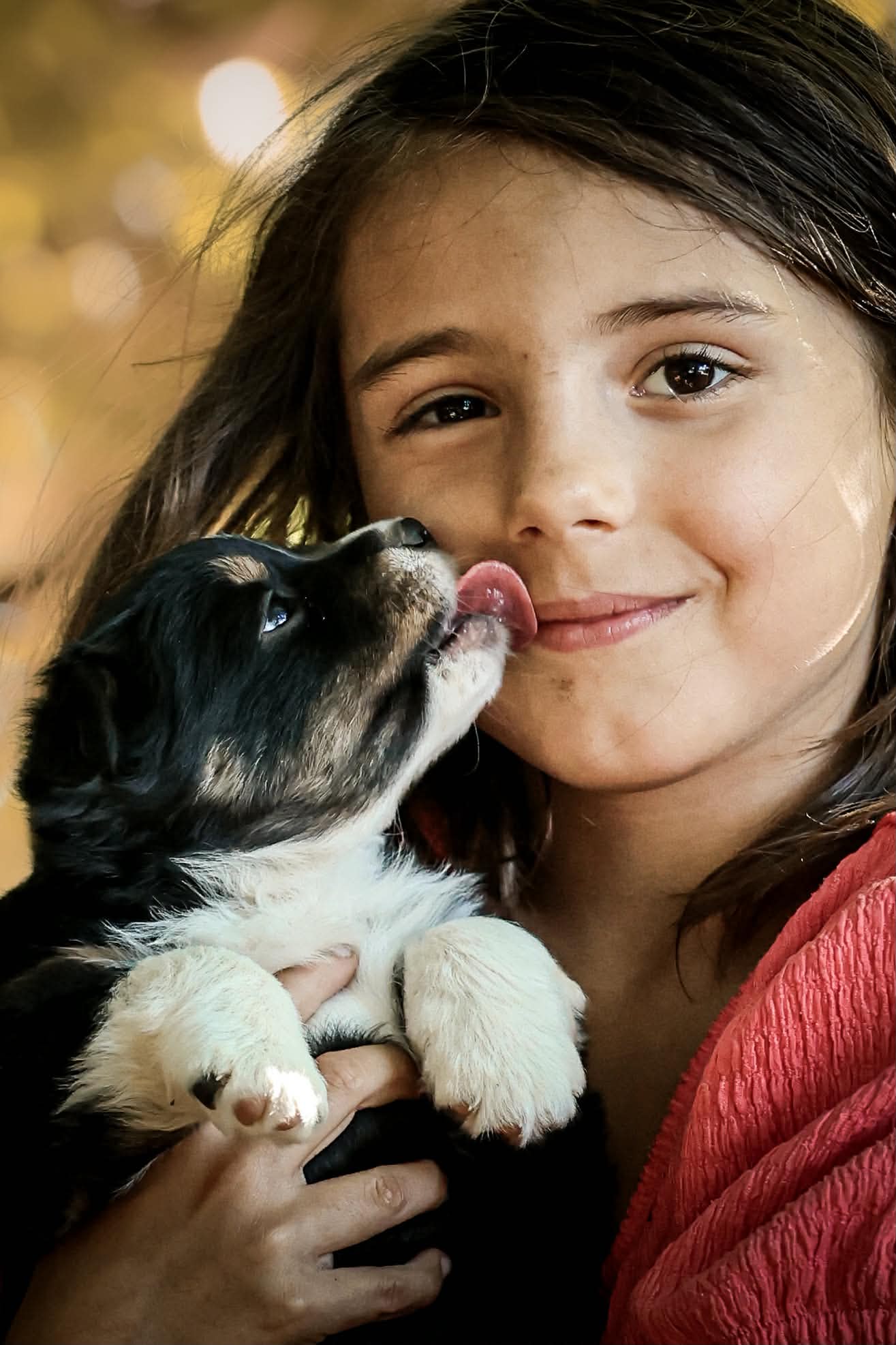 Enfant et chiot de l'élevage des Prairies d'Iloa