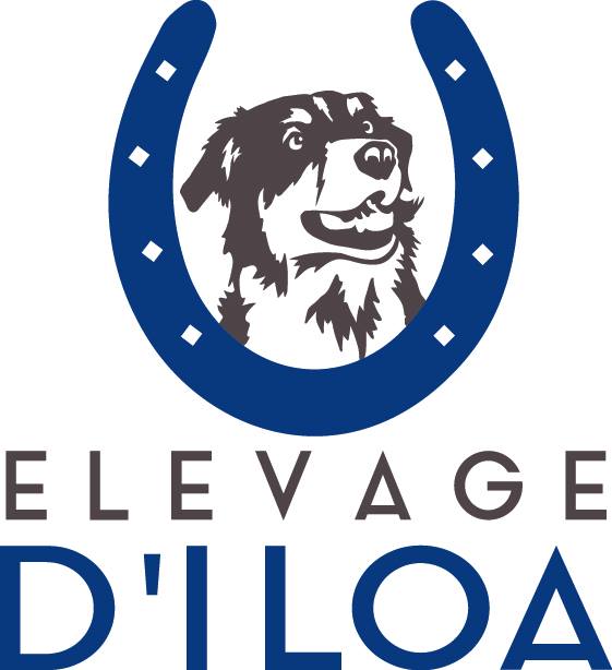 Logo Prairies d'Iloa